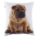 Poszewka Shar Pei